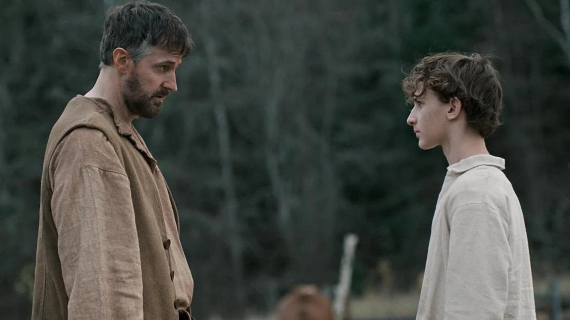 Poster for The Boy in the Woods